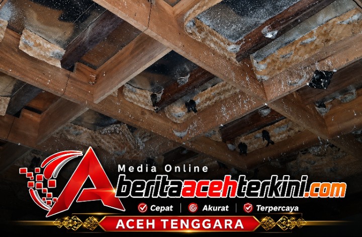 Pajak Sarang Walet Agara Tahun 2025 Cuma Rp2 Juta, Bisnis Jalan Terus